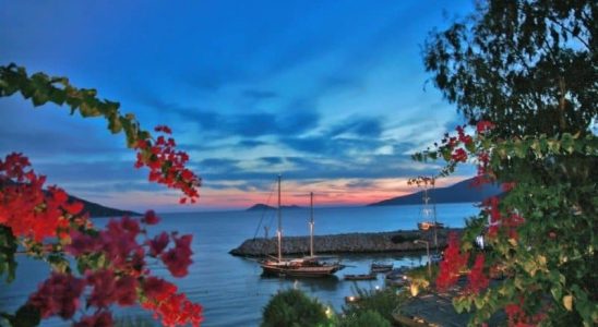 Kalkan 7