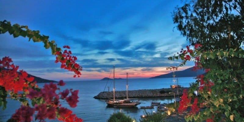 Kalkan 1