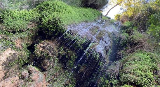 Photo Gallery 23