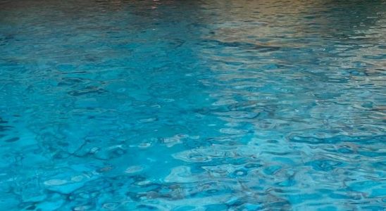Photo Gallery 34